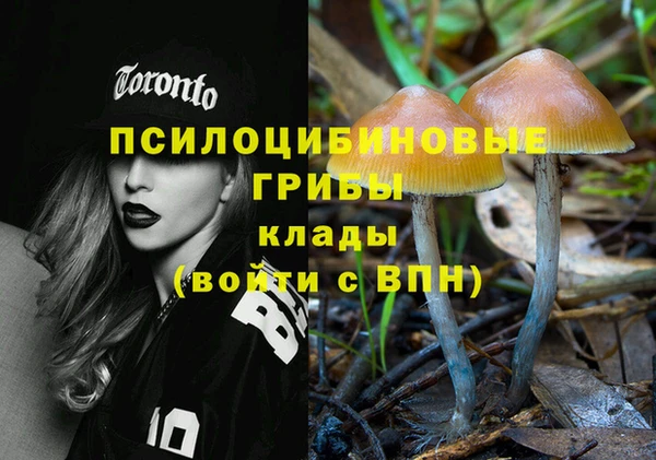 ECSTASY Осинники
