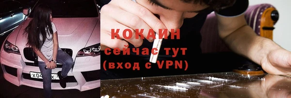 амф Осташков