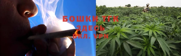 ECSTASY Осинники