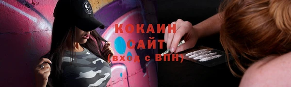 ECSTASY Осинники