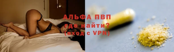 ECSTASY Осинники