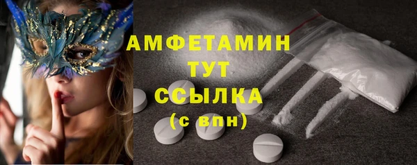 амф Осташков